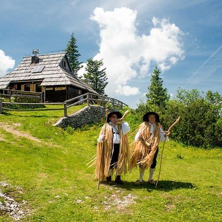 Chalet Tisa Velika Planina Stahovica Ngoại thất bức ảnh