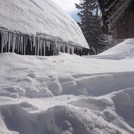 Chalet Tisa Velika Planina Stahovica Ngoại thất bức ảnh