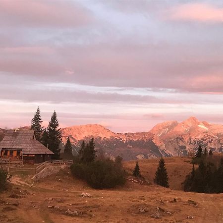 Chalet Tisa Velika Planina Stahovica Ngoại thất bức ảnh