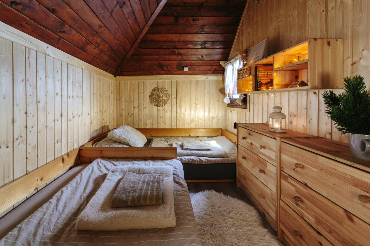 Chalet Tisa Velika Planina Stahovica Ngoại thất bức ảnh