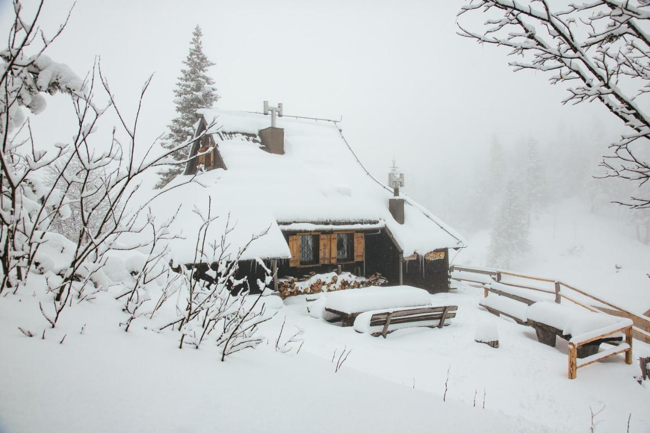 Chalet Tisa Velika Planina Stahovica Ngoại thất bức ảnh