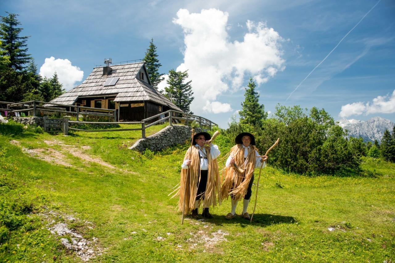 Chalet Tisa Velika Planina Stahovica Ngoại thất bức ảnh