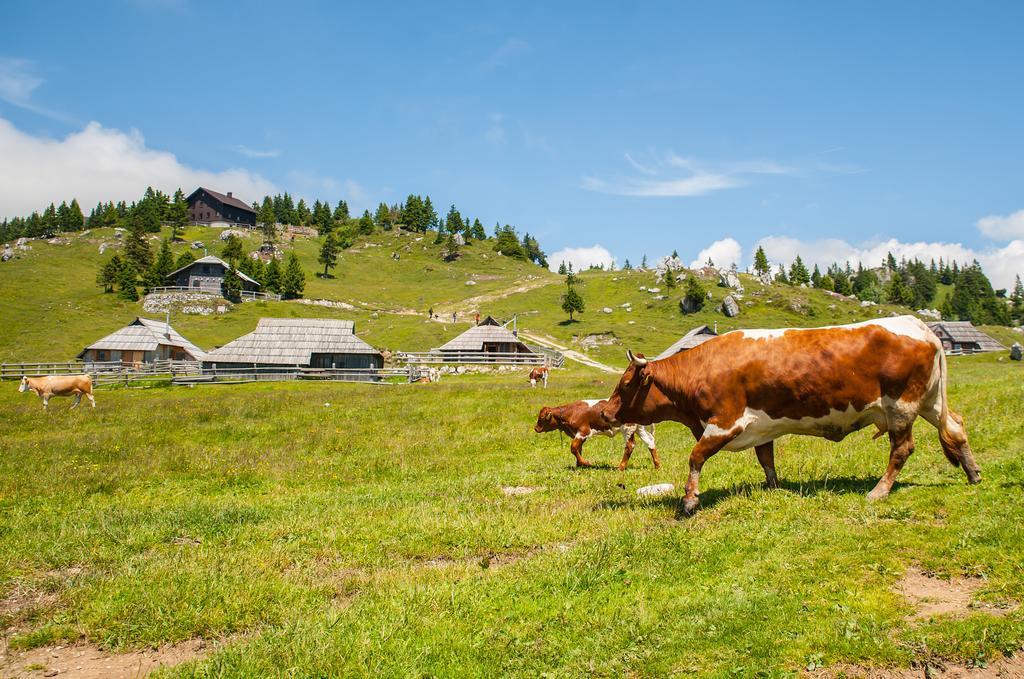 Chalet Tisa Velika Planina Stahovica Phòng bức ảnh