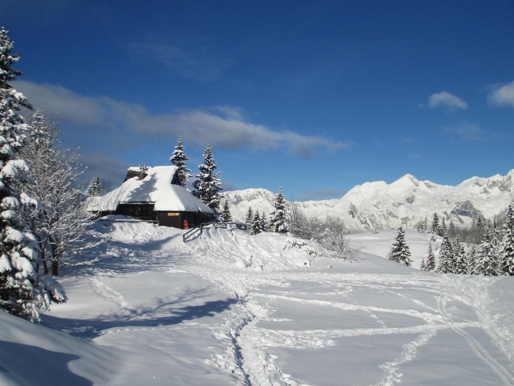 Chalet Tisa Velika Planina Stahovica Phòng bức ảnh