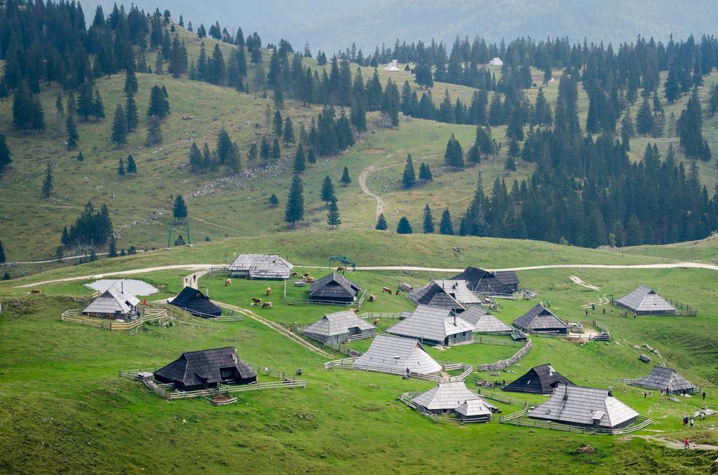 Chalet Tisa Velika Planina Stahovica Phòng bức ảnh