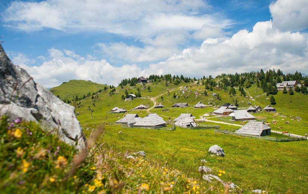 Chalet Tisa Velika Planina Stahovica Phòng bức ảnh