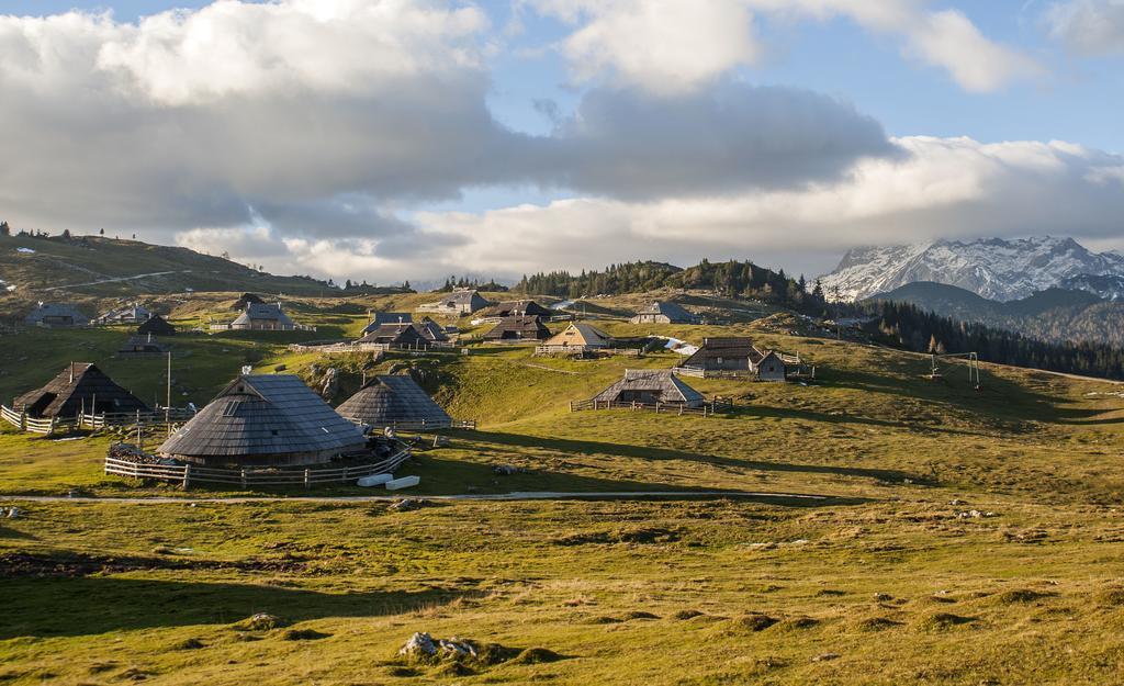 Chalet Tisa Velika Planina Stahovica Phòng bức ảnh
