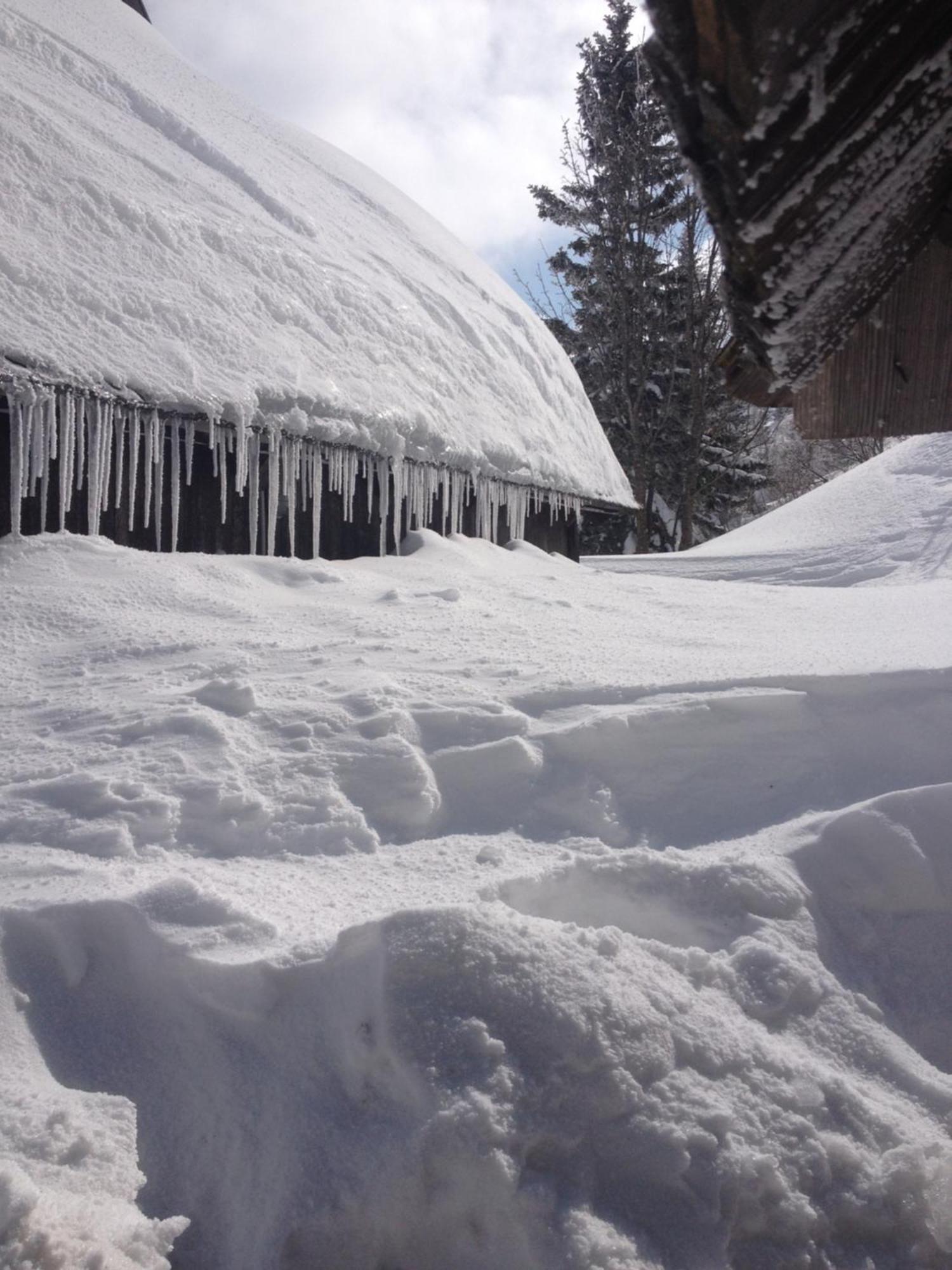 Chalet Tisa Velika Planina Stahovica Ngoại thất bức ảnh