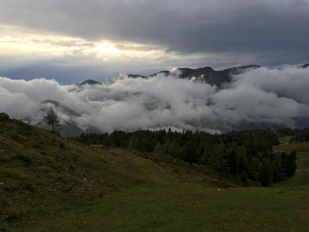 Chalet Tisa Velika Planina Stahovica Ngoại thất bức ảnh