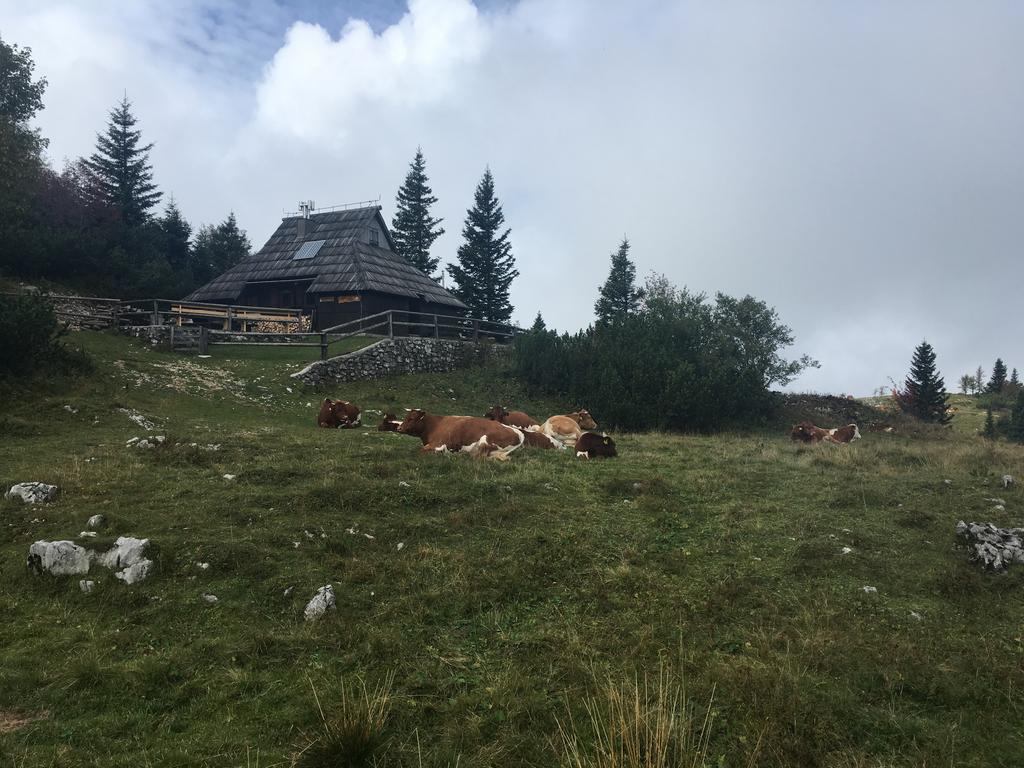 Chalet Tisa Velika Planina Stahovica Ngoại thất bức ảnh