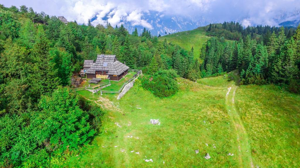 Chalet Tisa Velika Planina Stahovica Ngoại thất bức ảnh