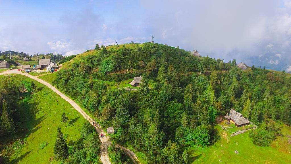 Chalet Tisa Velika Planina Stahovica Ngoại thất bức ảnh