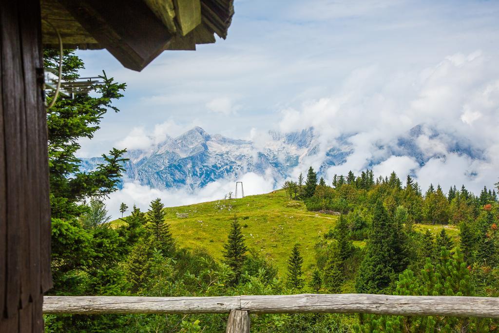 Chalet Tisa Velika Planina Stahovica Ngoại thất bức ảnh