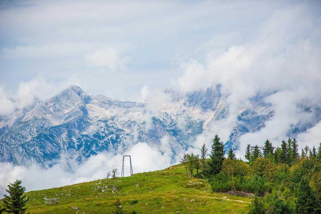 Chalet Tisa Velika Planina Stahovica Ngoại thất bức ảnh