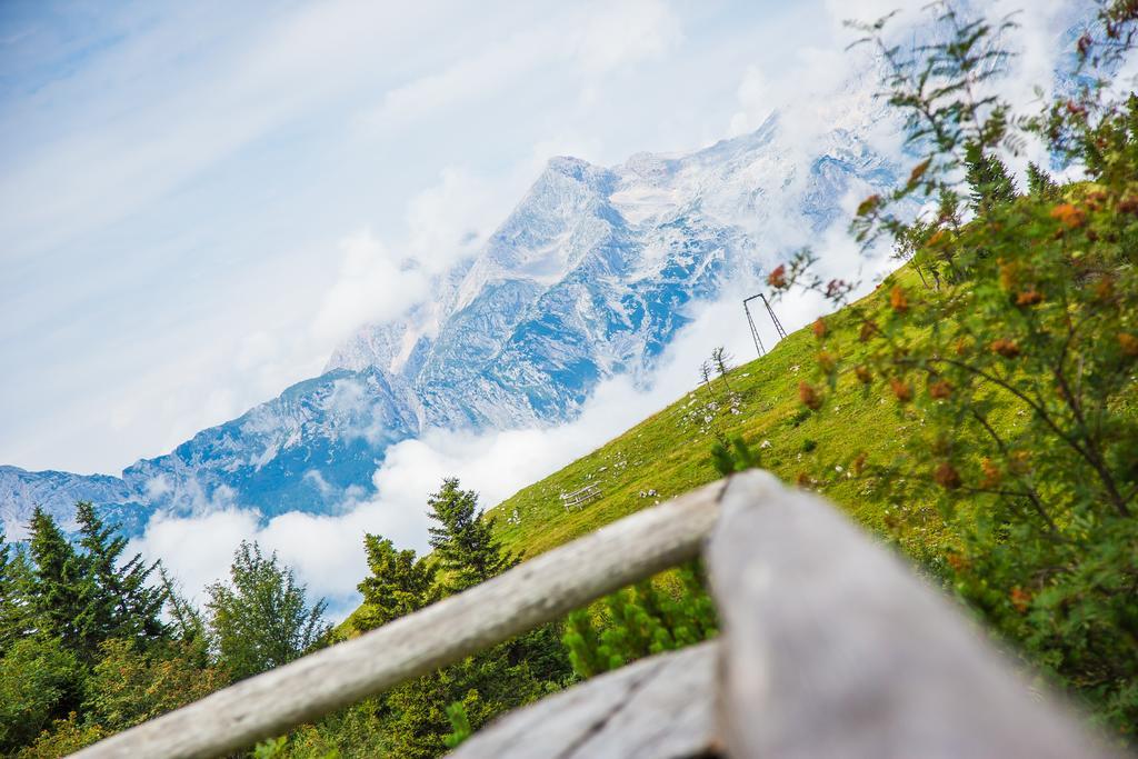 Chalet Tisa Velika Planina Stahovica Ngoại thất bức ảnh