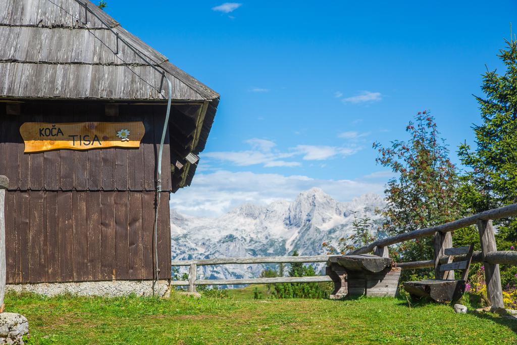 Chalet Tisa Velika Planina Stahovica Ngoại thất bức ảnh