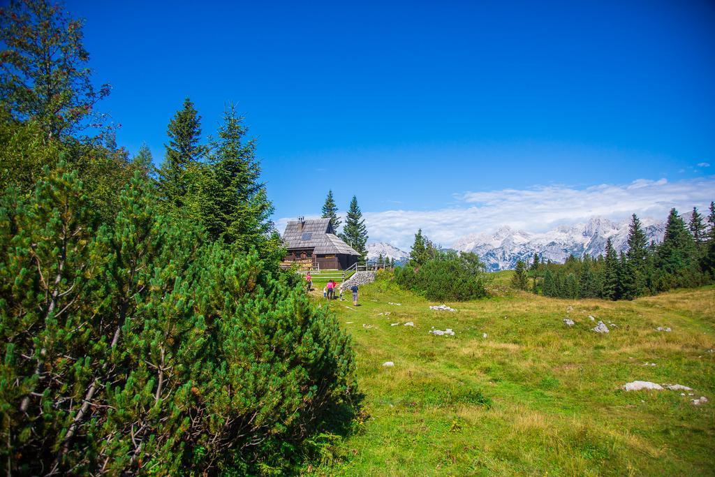Chalet Tisa Velika Planina Stahovica Ngoại thất bức ảnh