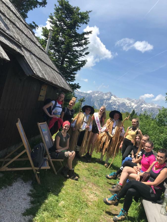 Chalet Tisa Velika Planina Stahovica Ngoại thất bức ảnh