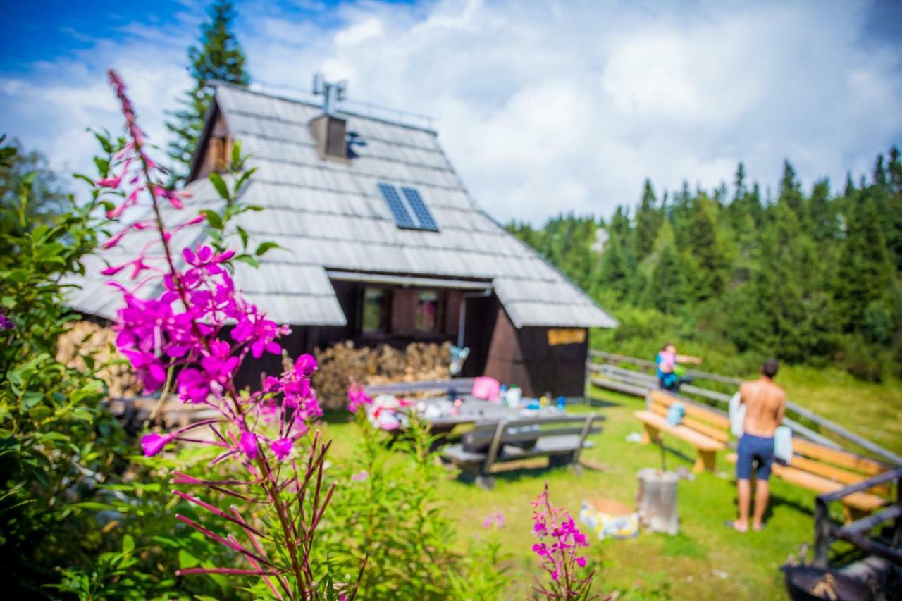 Chalet Tisa Velika Planina Stahovica Ngoại thất bức ảnh