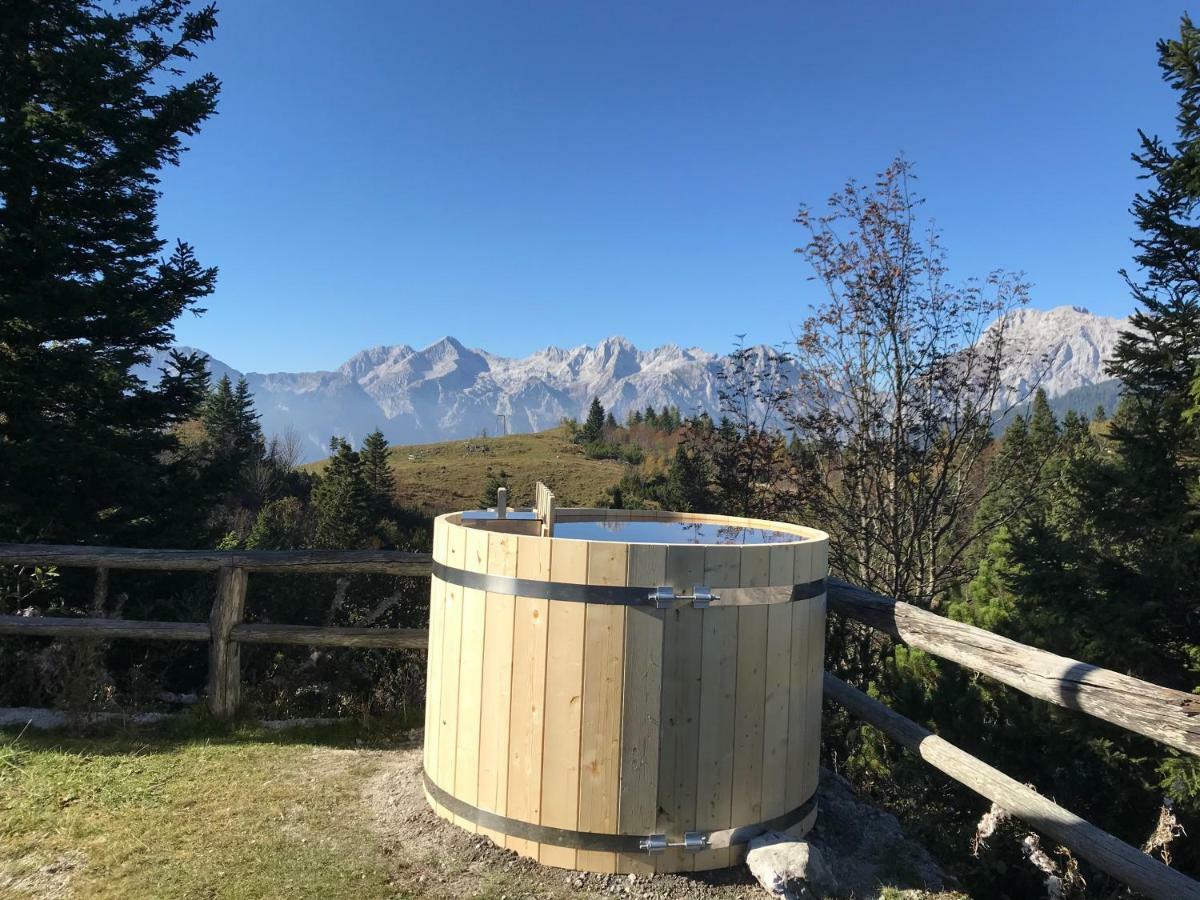 Chalet Tisa Velika Planina Stahovica Ngoại thất bức ảnh